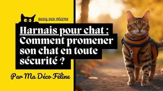 Harnais pour chat : Comment promener son chat en toute sécurité ?