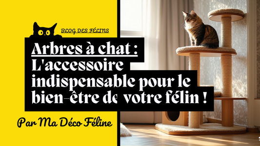 Arbres à chat : L'accessoire indispensable pour le bien-être de votre félin !