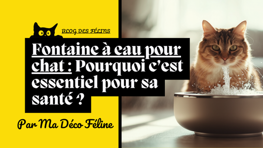 Fontaine à eau pour chat : Pourquoi c’est essentiel pour sa santé ?