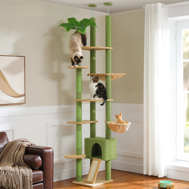 Arbre à Chat XXL