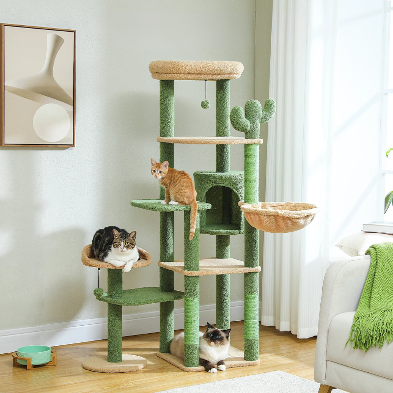 Arbre à Chat Cactus 150 cm