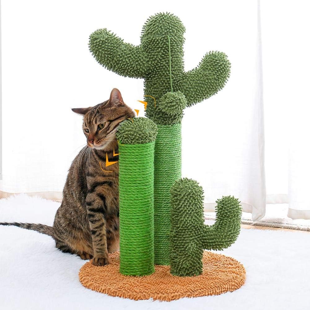 Griffoir chat cactus
