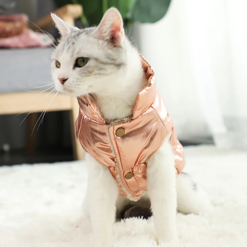 Doudoune Imperméable Pour Chat