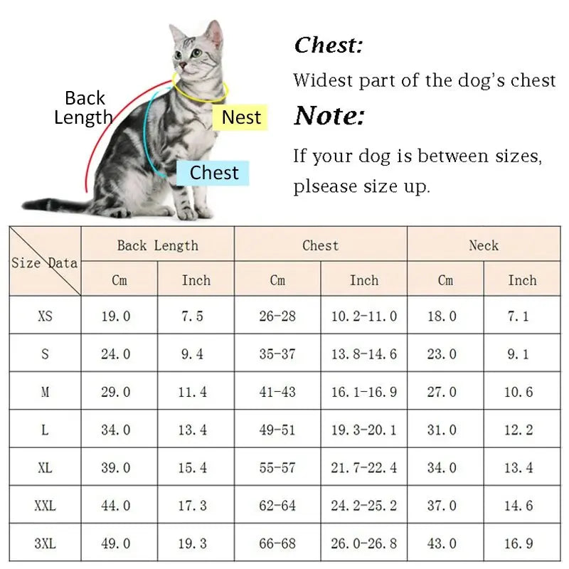 Doudoune Imperméable Pour Chat