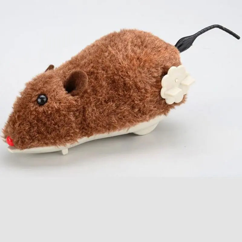 Souris Pour Chat