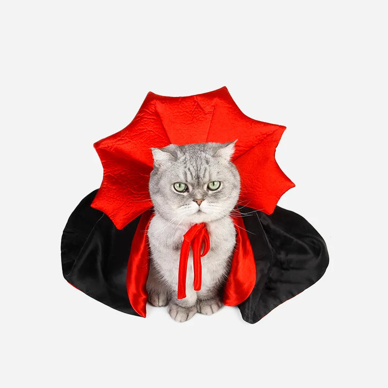 Déguisement Chat Vampire