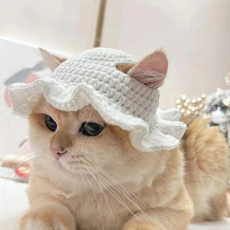 bonnet pour chat tricot