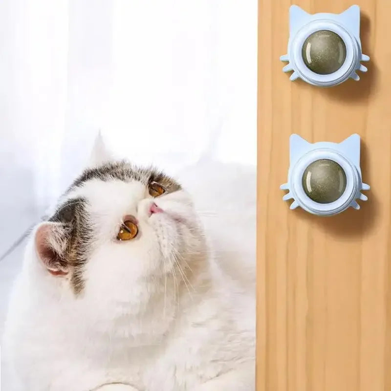 Jouet Herbe à Chat