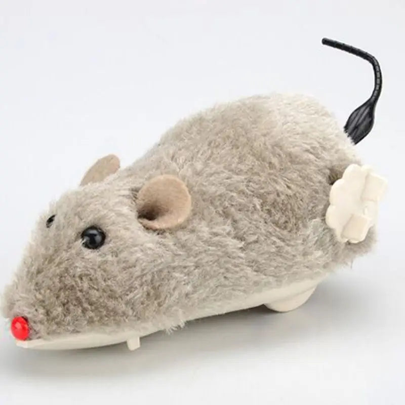 Souris Pour Chat