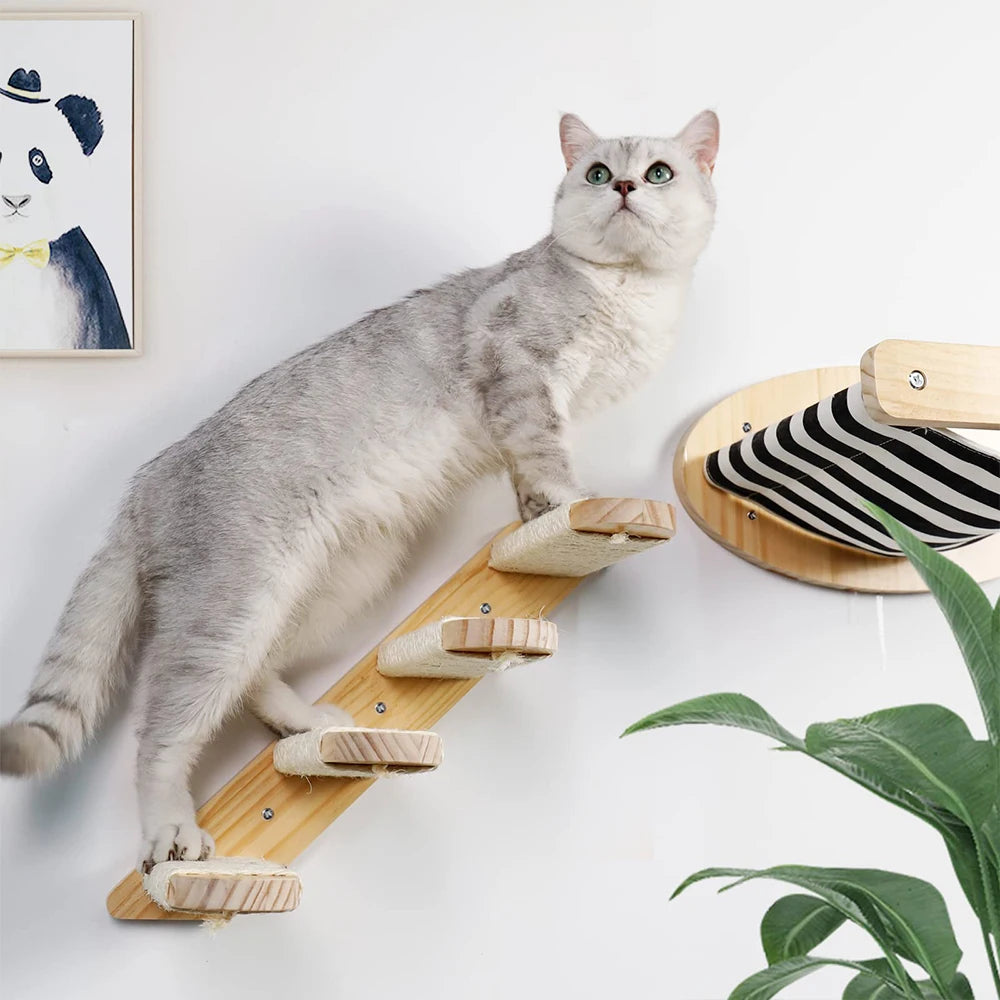 Escalier pour chat