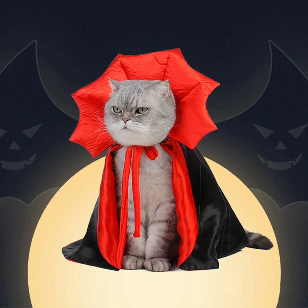 Déguisement Chat Vampire