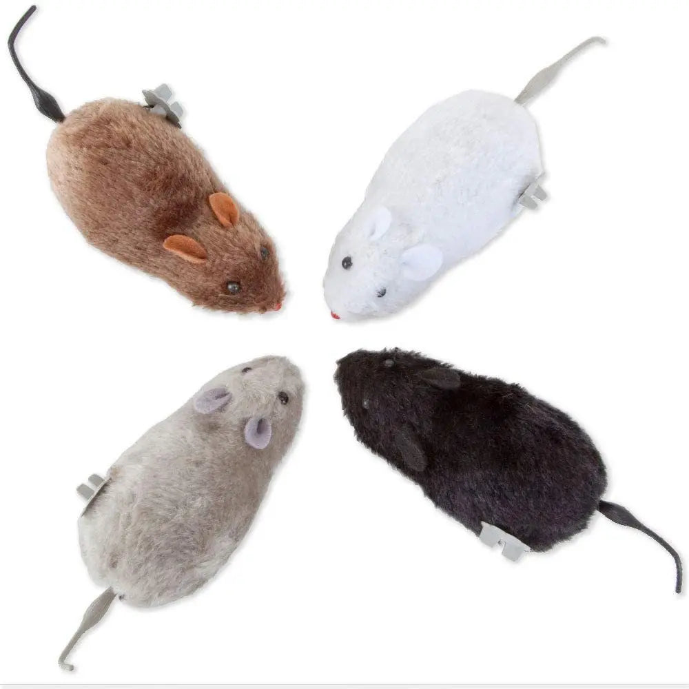 Souris Pour Chat