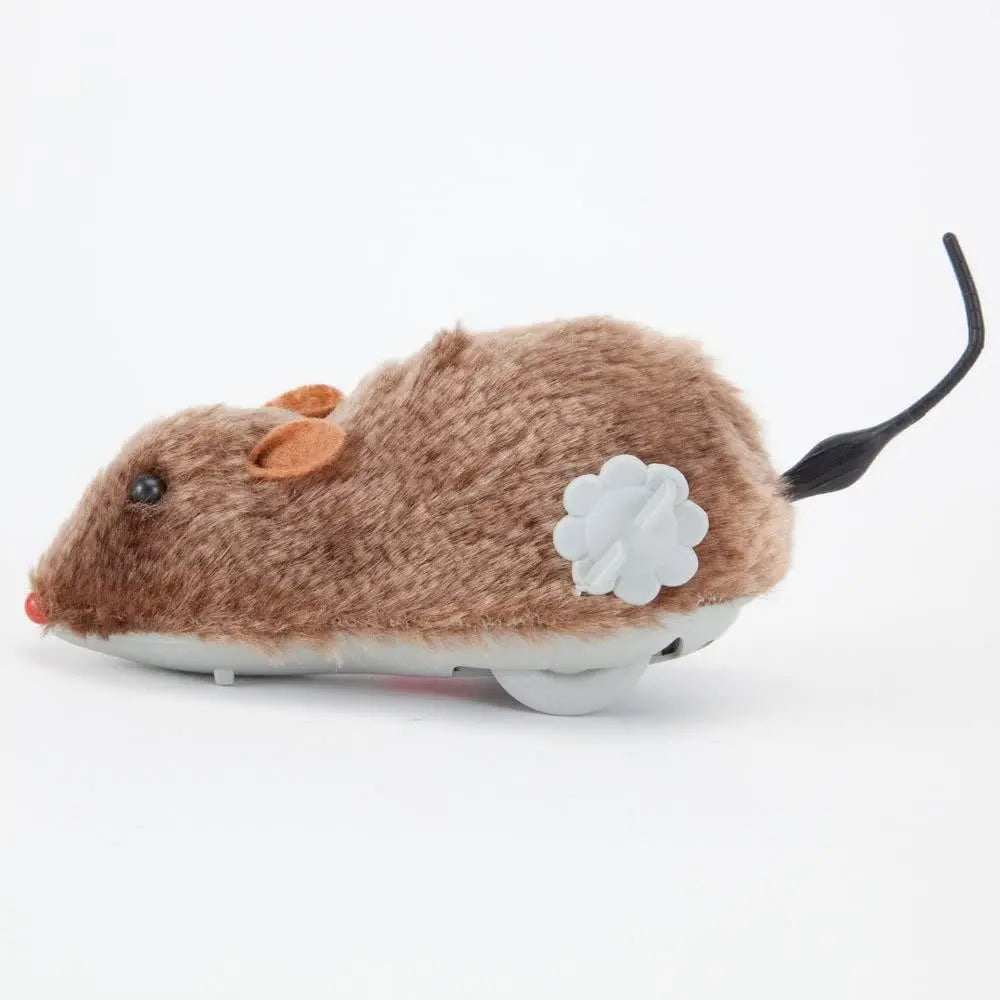 Souris Pour Chat