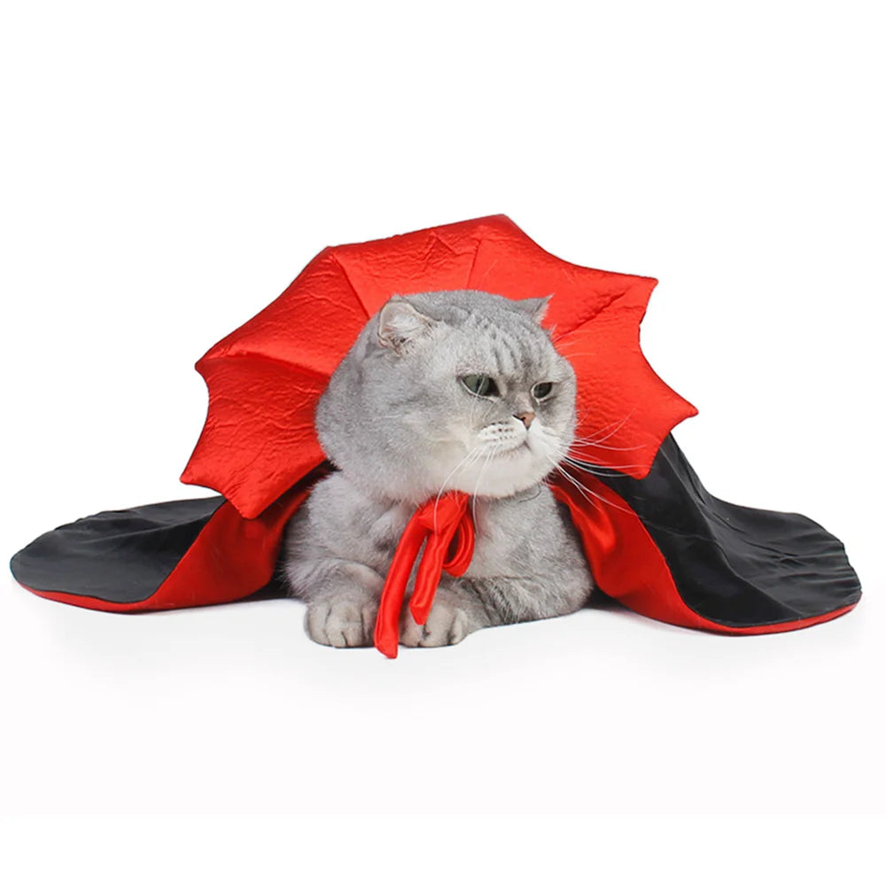 Déguisement Chat Vampire