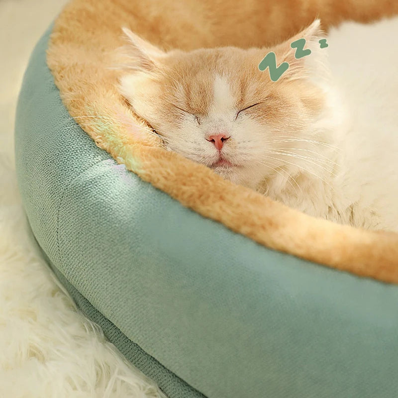Panier Ovale Pour Chat