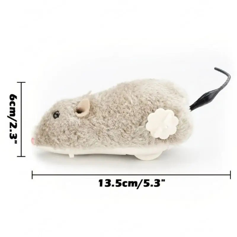 Souris Pour Chat