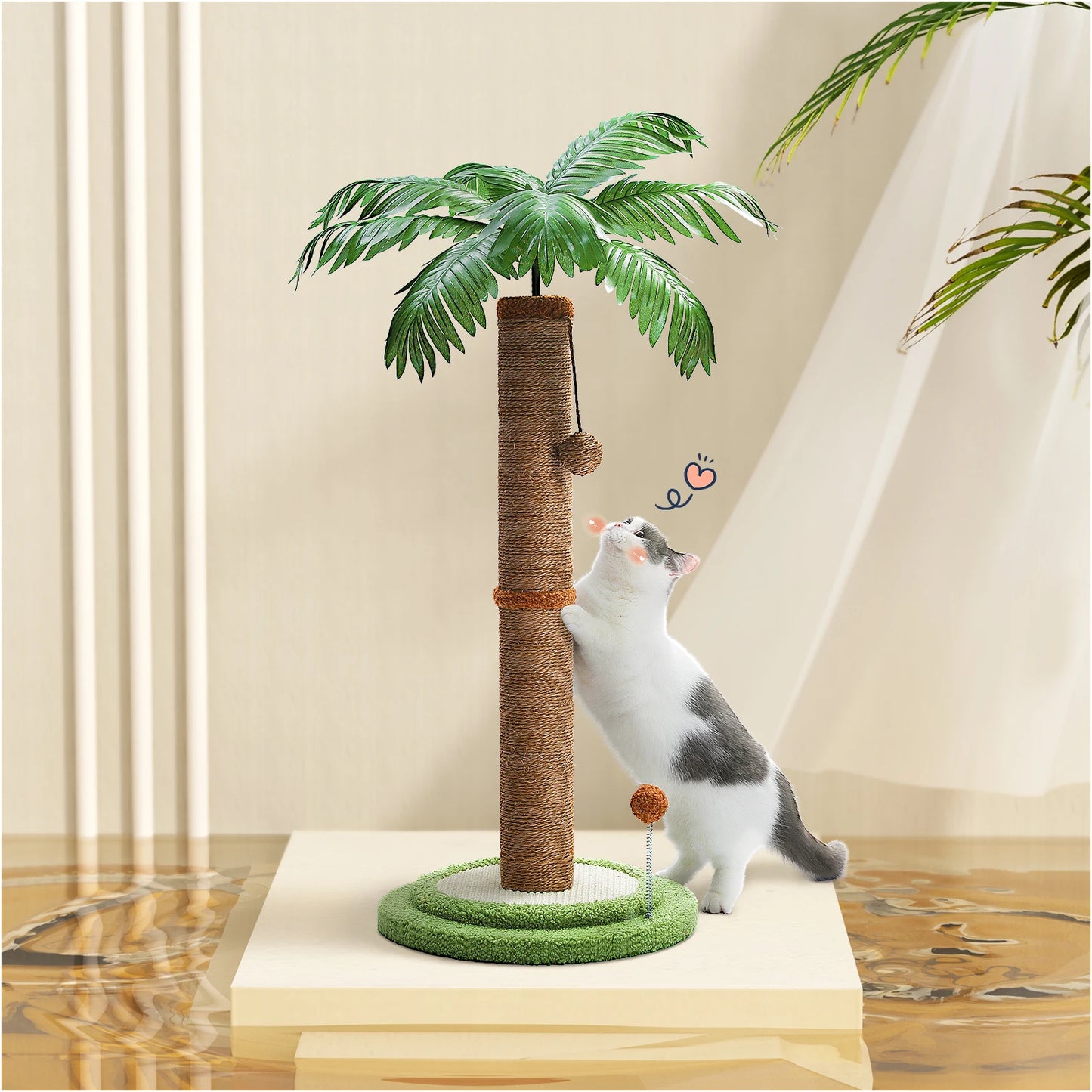 Griffoir Palmier chat