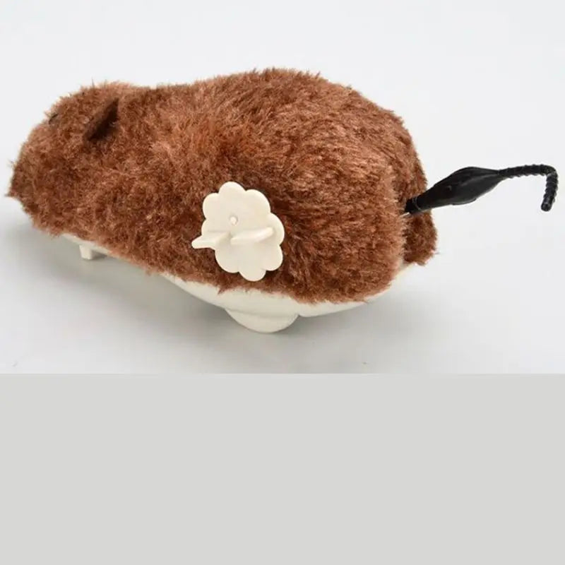 Souris Pour Chat