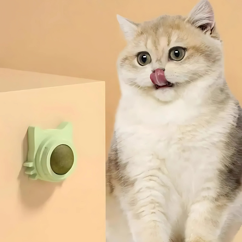 Jouet Herbe à Chat