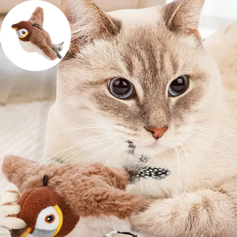 Jouet Oiseau Interactif Pour Chat