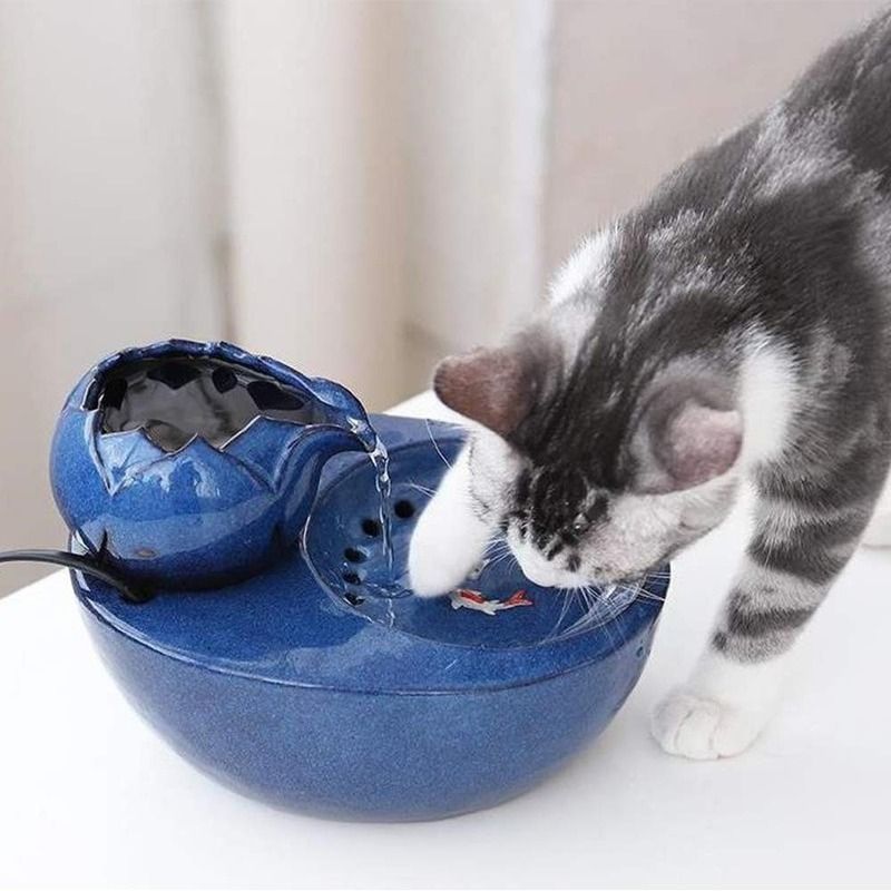Fontaine à eau pour chat ultra silencieuse, zéro bruit !