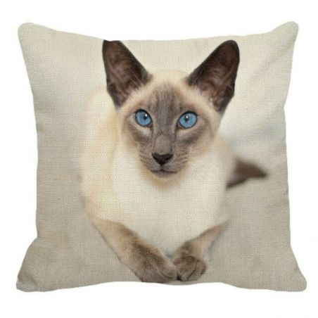 housse coussin chat