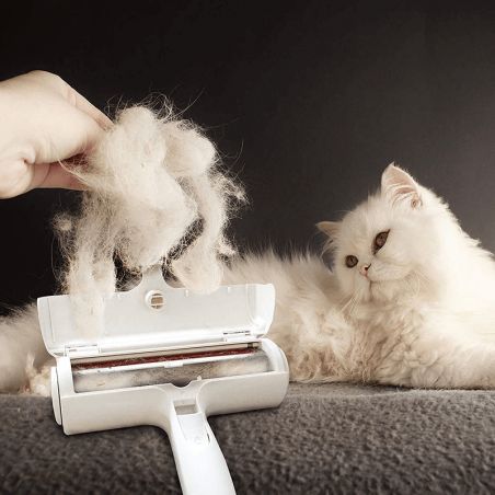 brosse pour enlever les poils de chat