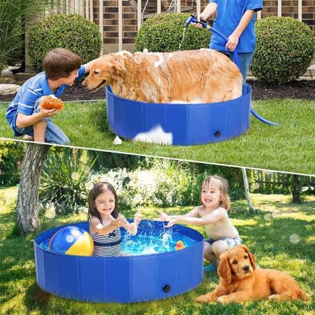 piscine pour grand chien