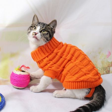Vêtement pour chat