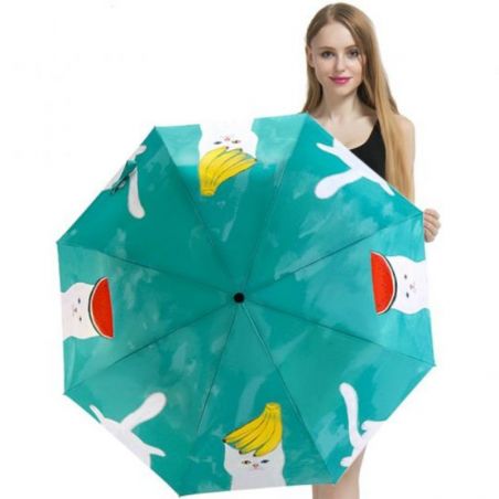 Parapluie chat
