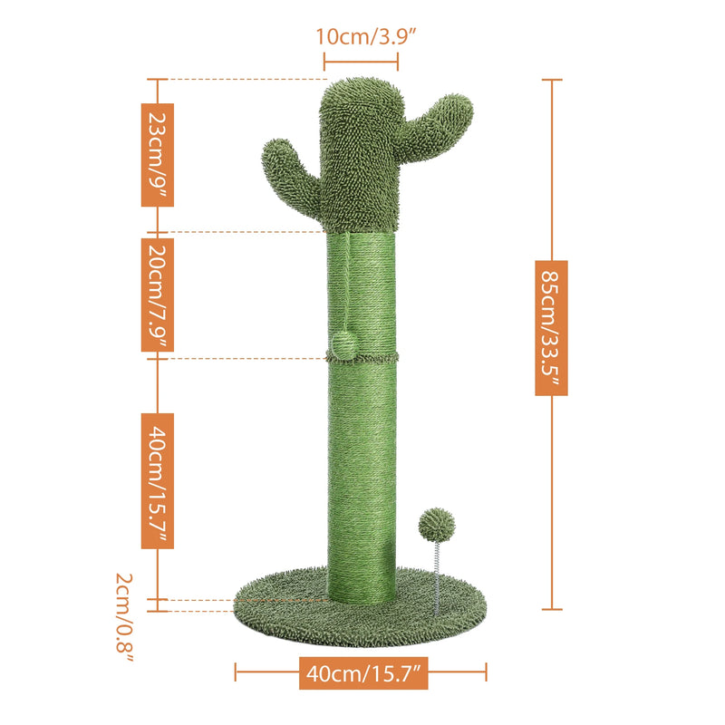 Griffoir chat cactus