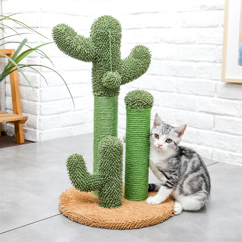 Griffoir chat cactus