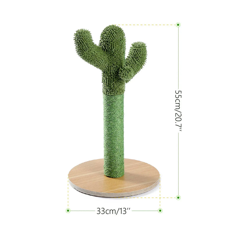 Griffoir chat cactus