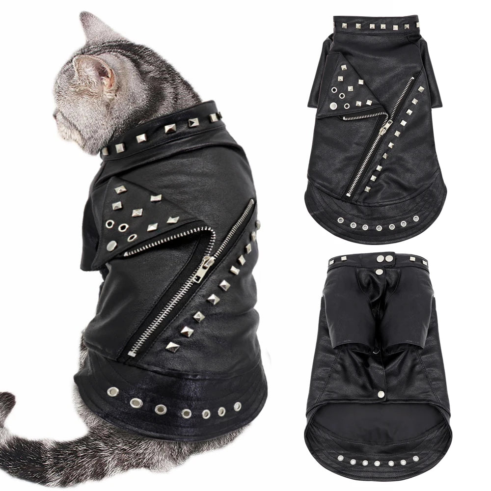 Veste en Cuir Pour Chat