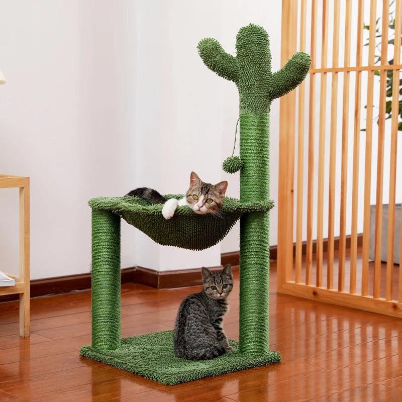 Griffoir chat cactus