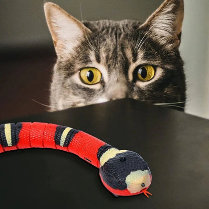 Jouet Serpent Pour Chat