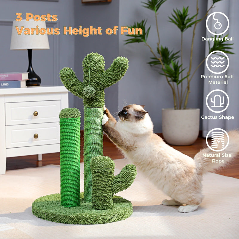 Griffoir chat cactus