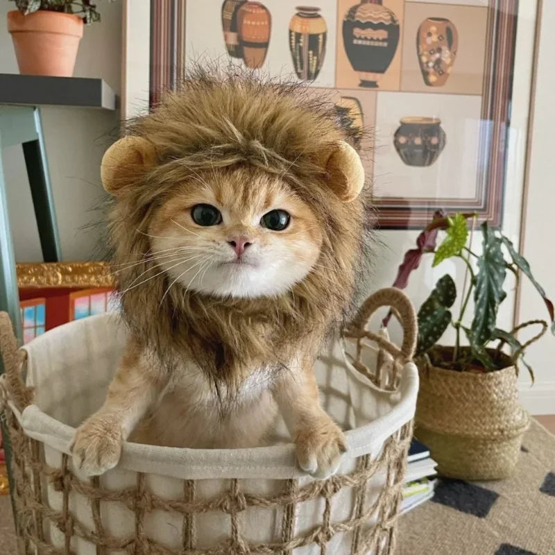 Bonnet criniere lion pour chat