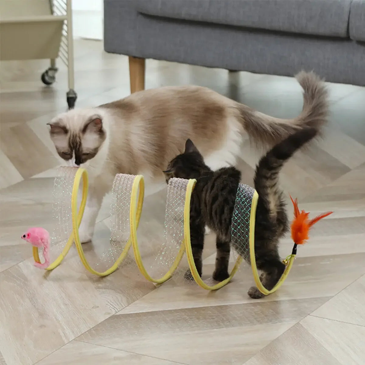 Jouets Pour Exercice Pour Chats