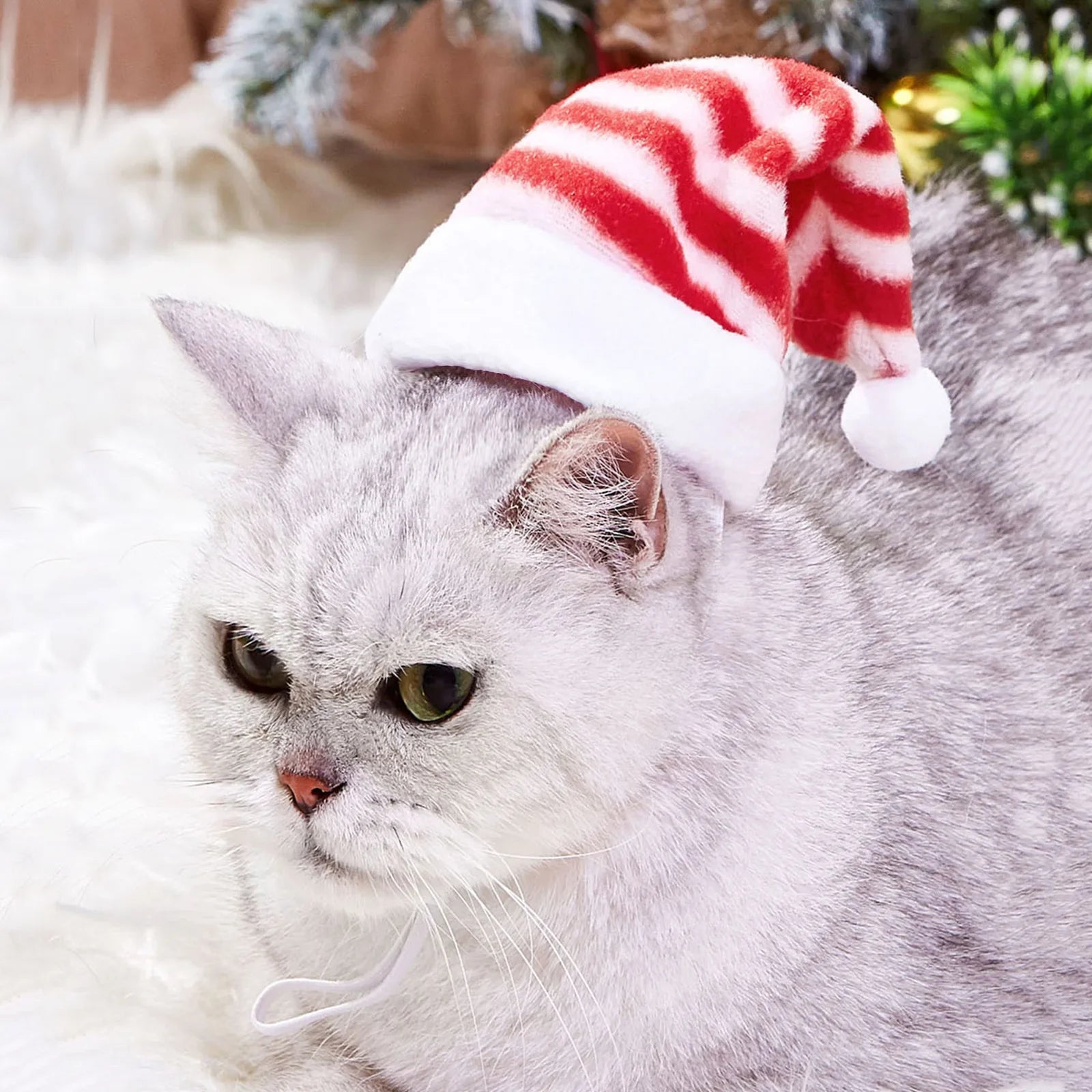 Bonnet de noel pour chat