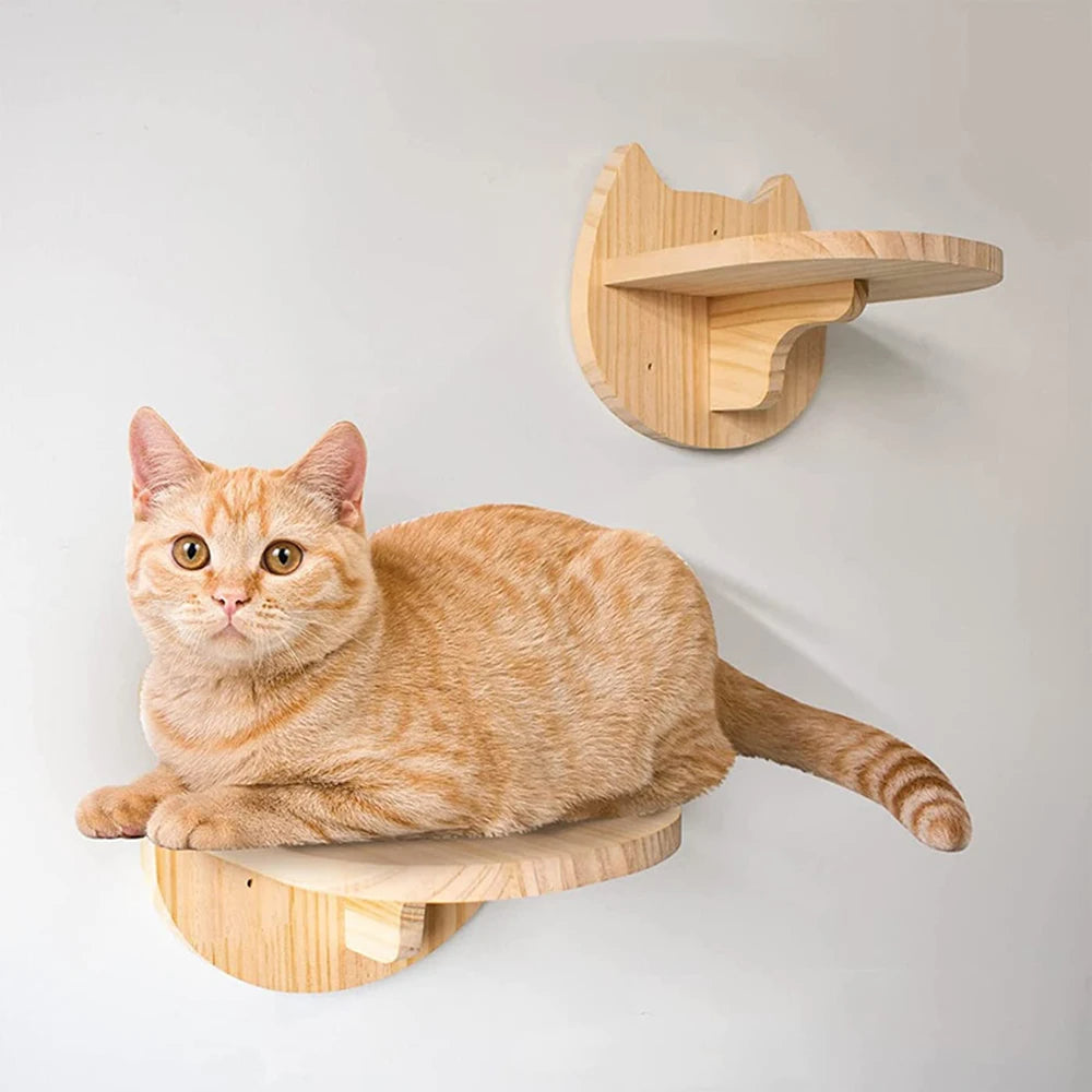 Hamac confort pour chat