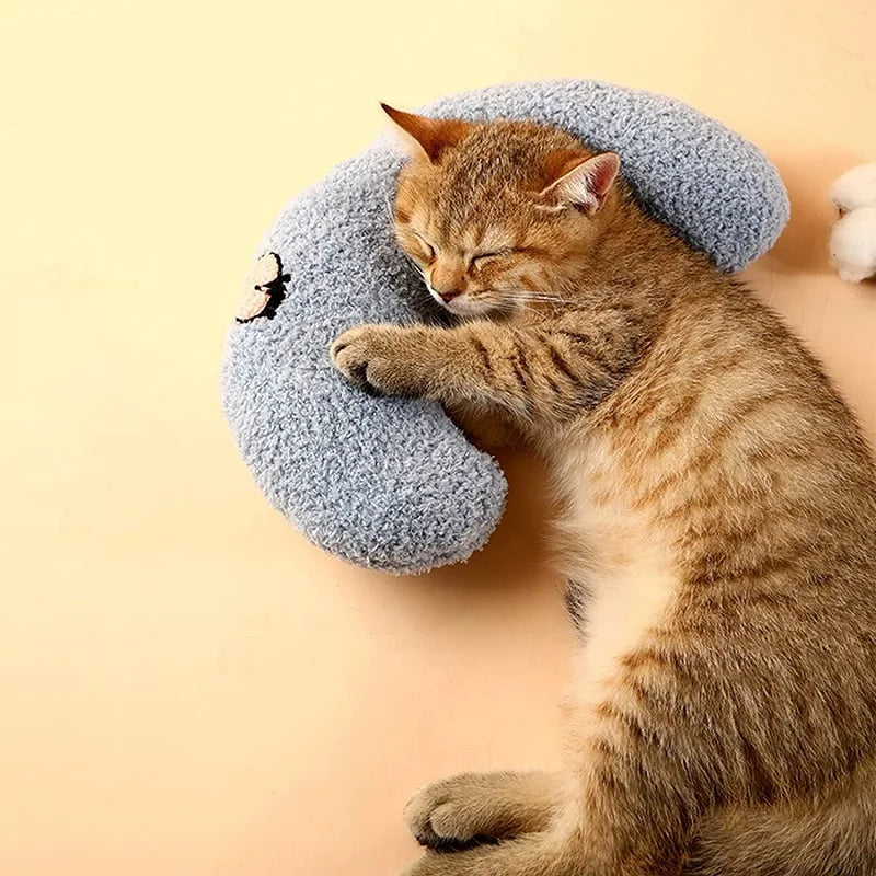 Petit coussin pour chat