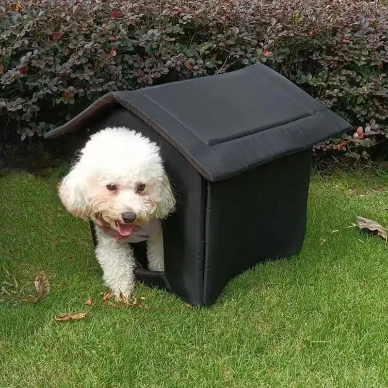 Niche pour Chat Imperméable