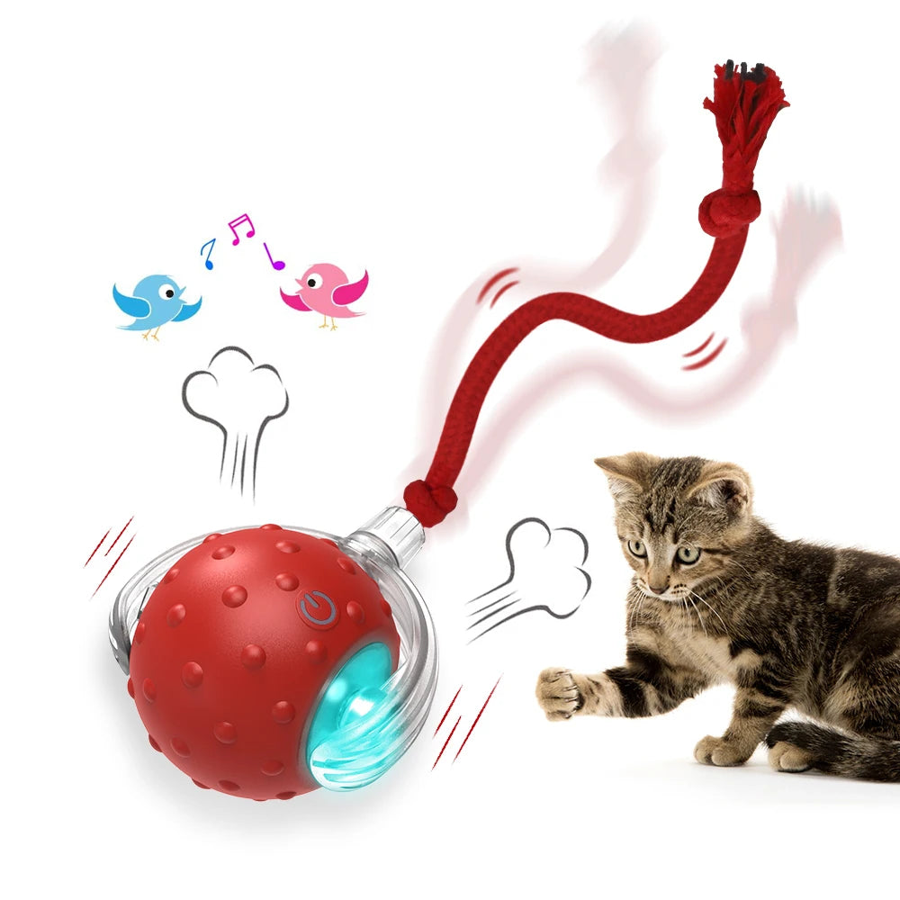 Jouets Interactifs Pour Chats