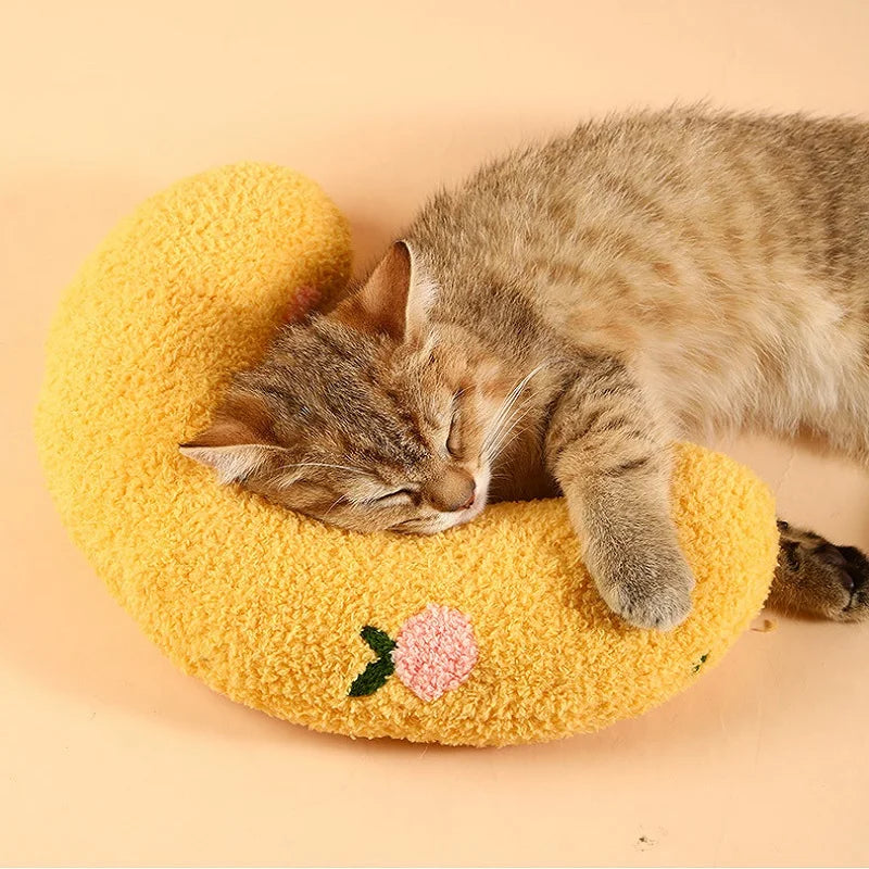 Petit coussin pour chat