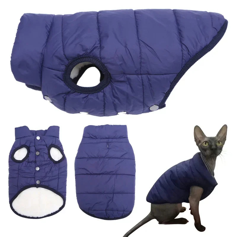 Gilet D’Hiver Pour Chat