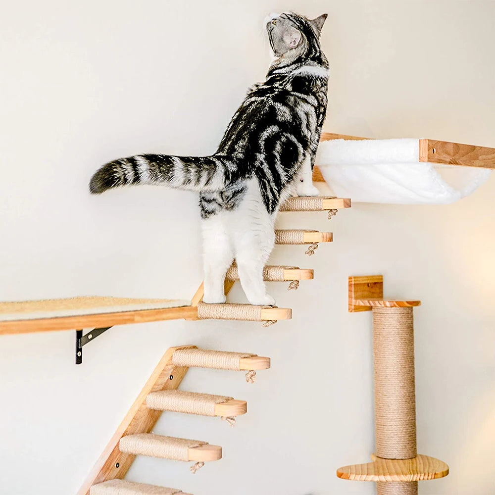 Kit Complet Mur d'escalade pour chat Kit'n'Go™