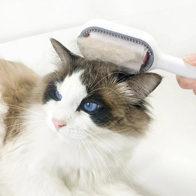 Brosse Aspirante Pour Chat