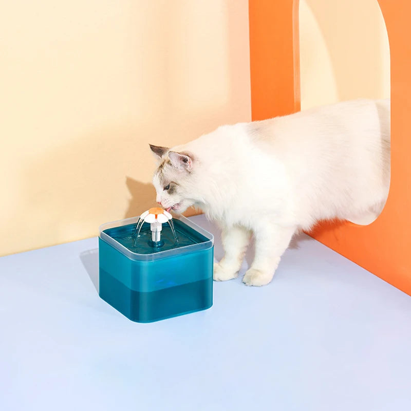 Fontaine à Eau Pour Chat Sans électricité