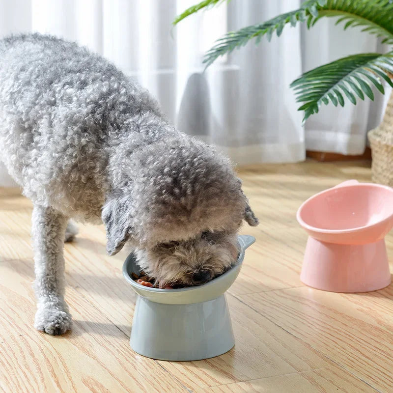 Gamelle orthopédique pour chat